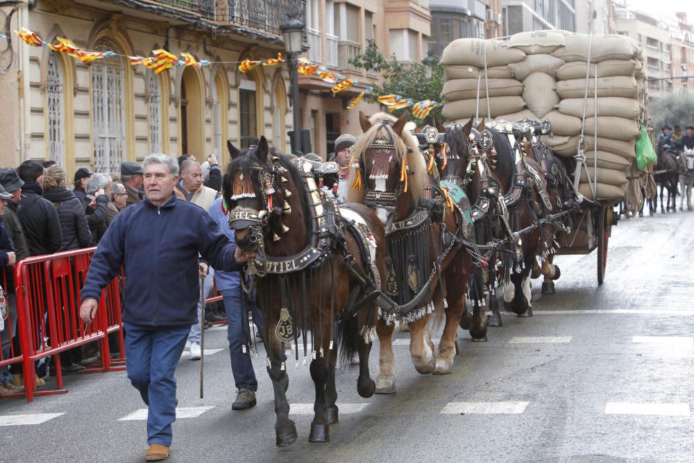 Sant Antoni en Valencia 2017