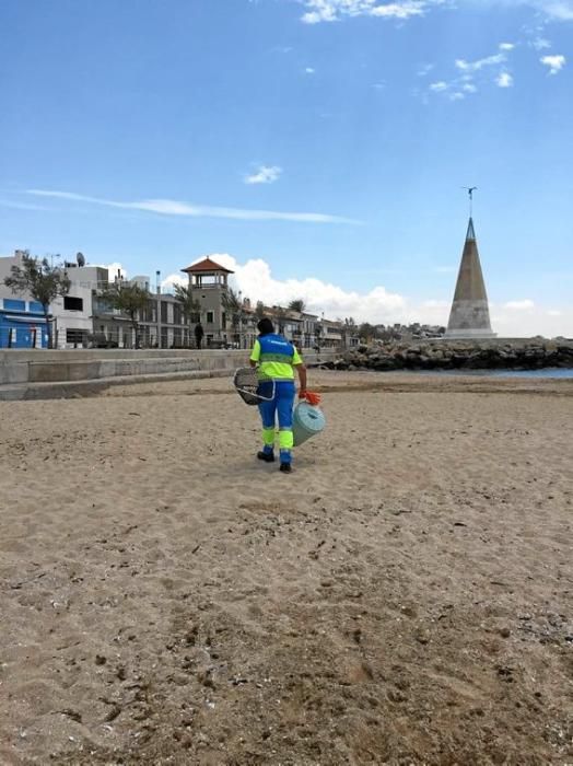 Mitarbeiter der Stadt suchen den Strand vor El Mol