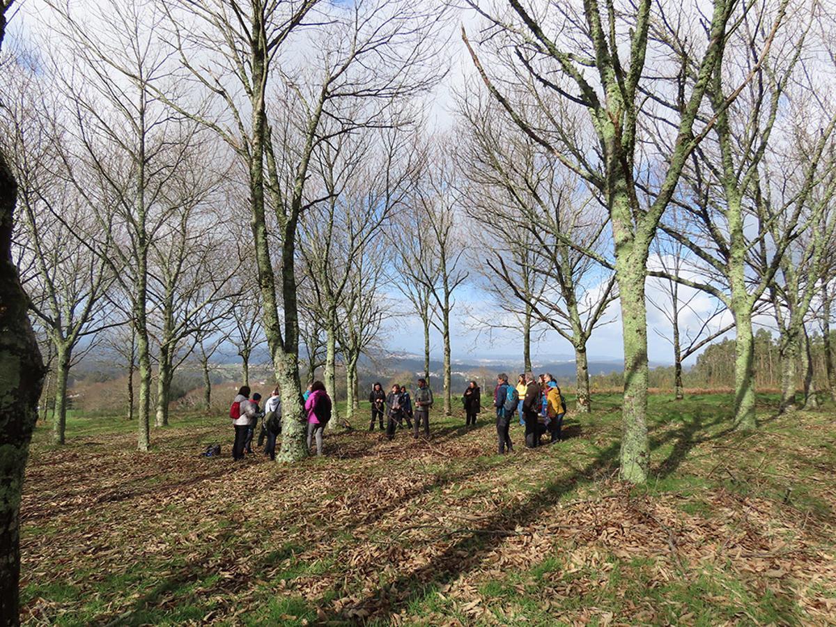 Visitantes no monte demostrativo do Pico Sacro.