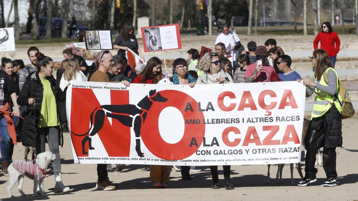 Manifestació contra la caça a Girona.