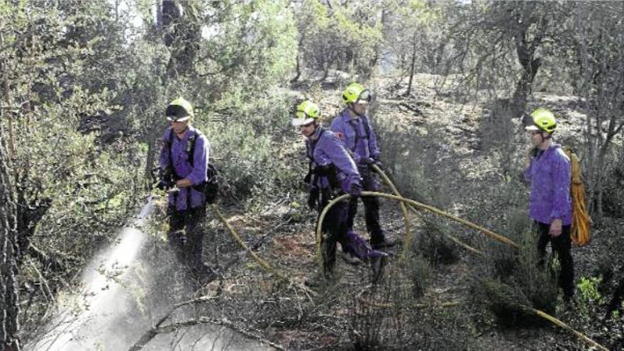 El foc ha cremat 360 hectàrees protegides del massís d&#039;Ardenya