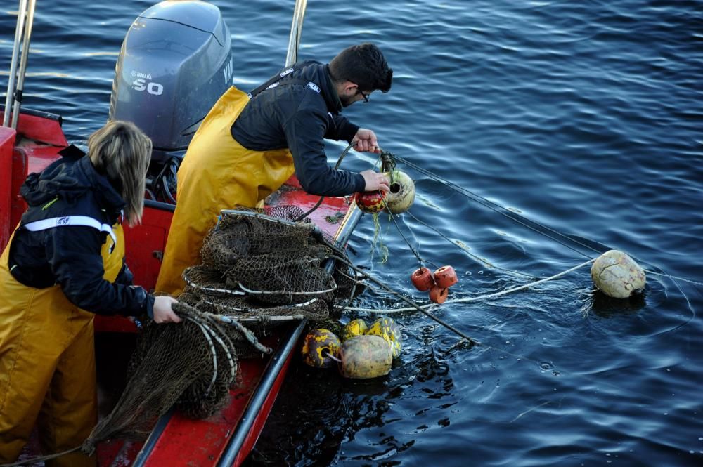Pesca de lamprea en el Ulla