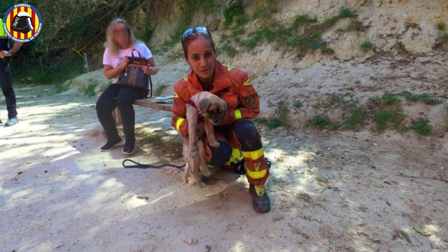 Espectacular rescate de un perro atrapado en una tubería en Ontinyent