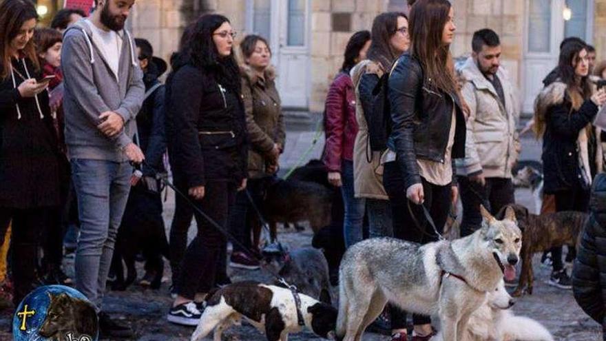 Concentración por los derechos de los animales en la plaza Mayor