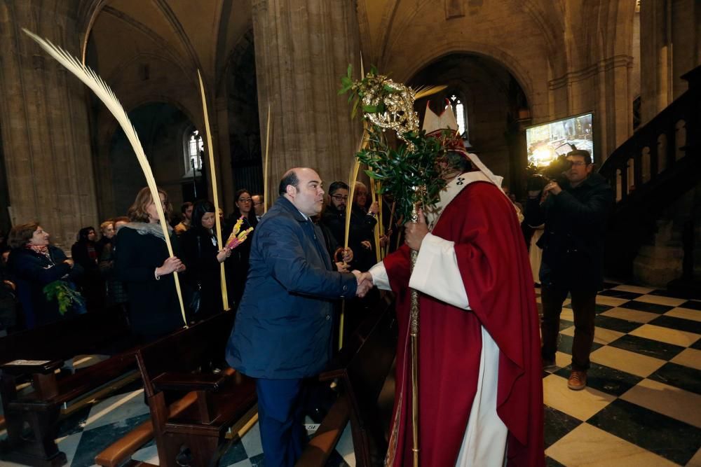 Misa de Ramos en la catedral de Oviedo