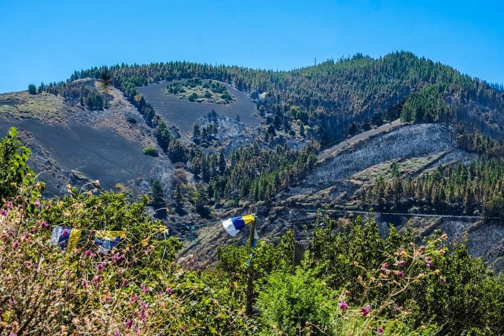 Incendio en Gran Canaria | Zonas afectadas en las medianías de Gáldar y en Artenara