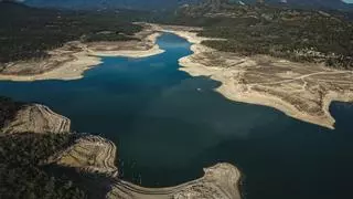 Entitats ambientals demanen que el proper govern de la Generalitat tingui una vicepresidència "d'emergència climàtica"