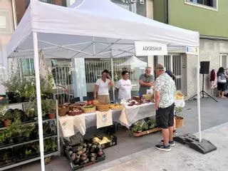 O comercio de Outes saca ás rúas produtos de artesanía, gastronomía e horta no marco da Feiriña