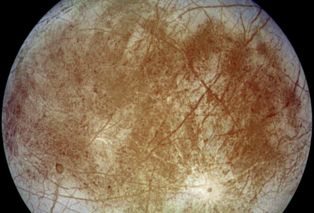 Europa, la luna de Júpiter, donde un océano escondido bajo kilómetros de hielo podría cobijar vida extraterrestre microbiana. Europa, la luna de Júpiter, donde un océano escondido bajo kilómetros de hielo podría cobijar vida extraterrestre microbiana.