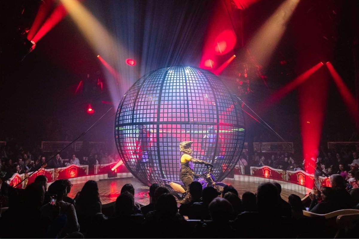 Llega a Murcia este mes el circo Circo Raluy Legacy .