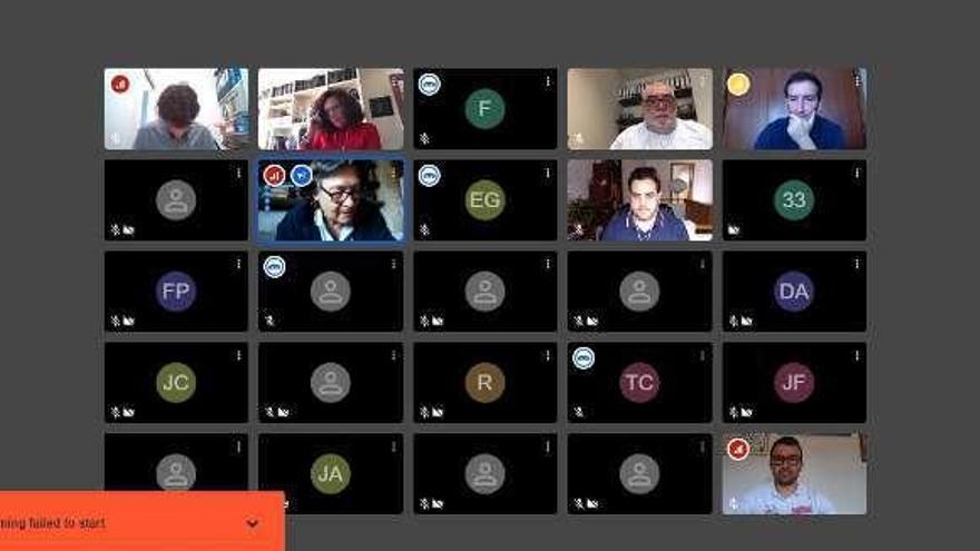 Captura de la videoreunión celebrada ayer sobre la lucha gallega.