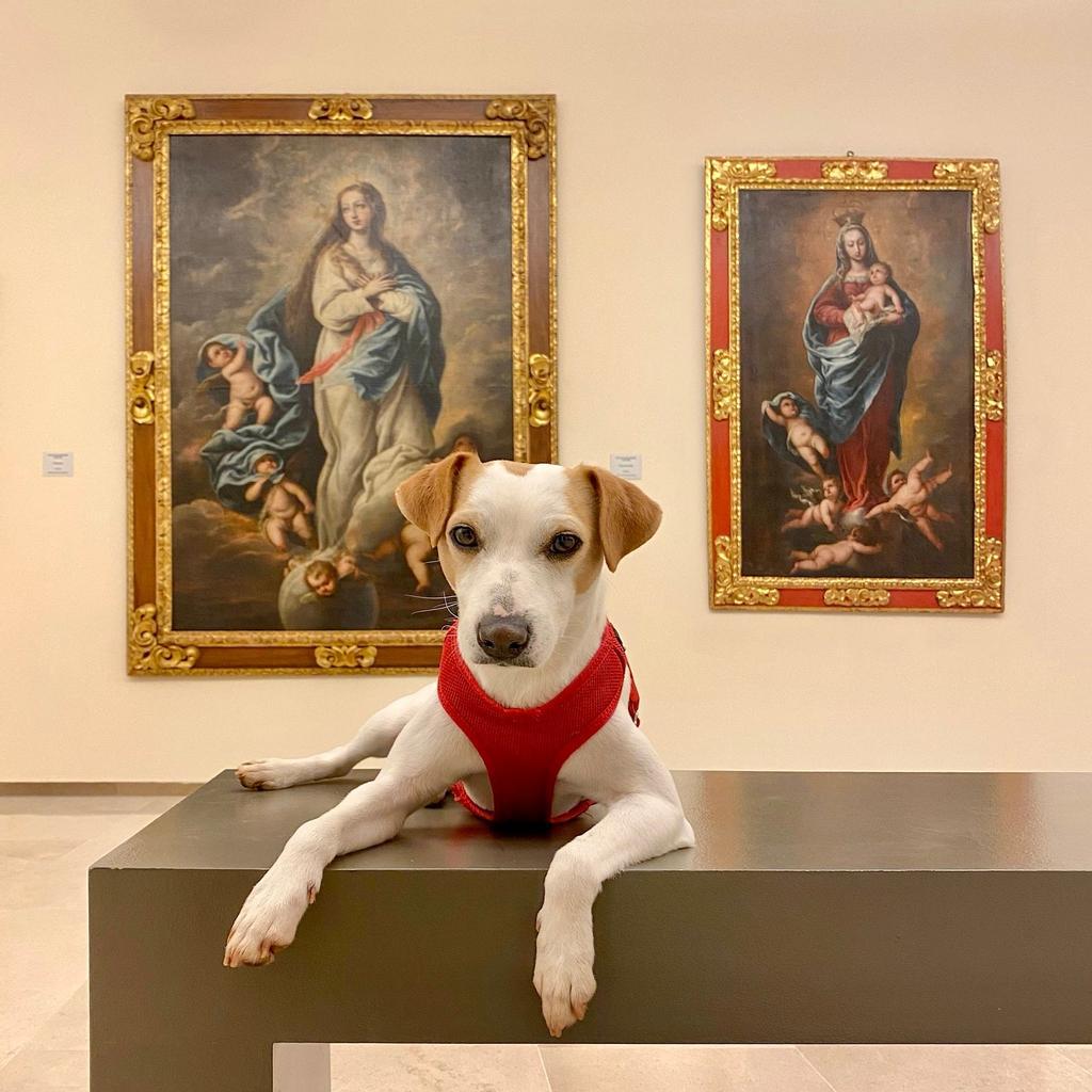 En el Museo de la Ciudad de Antequera.