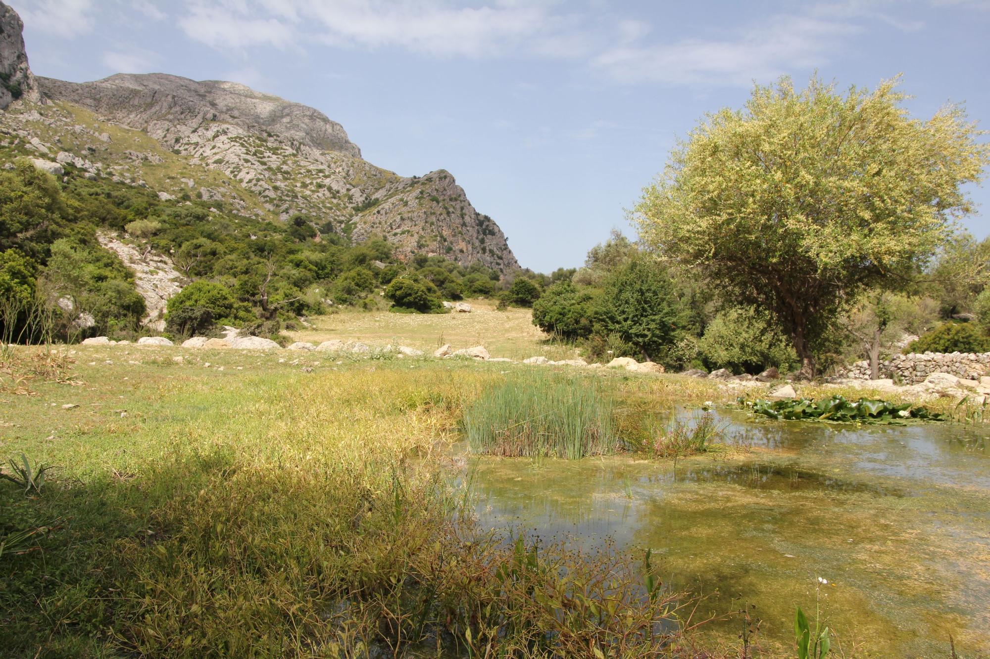 Fartàritx - mythische Finca in der Tramuntana