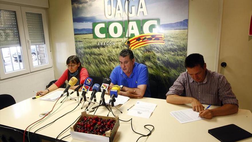 UAGA estima que la cosecha de fruta dulce caerá el 13% en Aragón