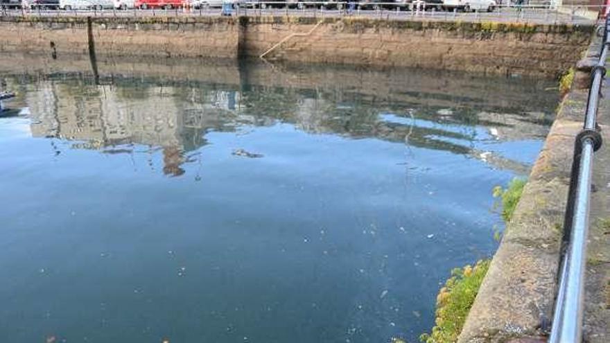 Vertido reciente de fecales en el puerto de Cangas. // Gonzalo Núñez