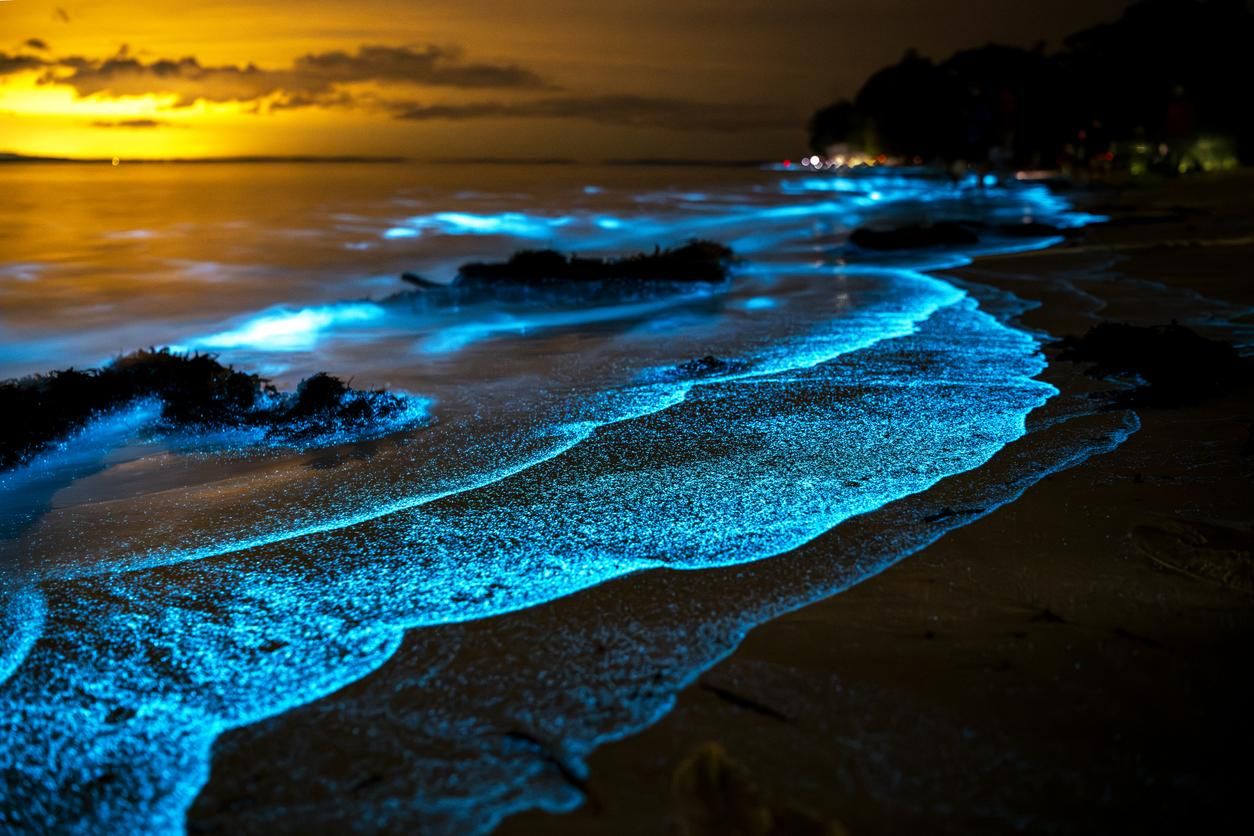 La bioluminiscencia se aprecia muy bien en Cádiz