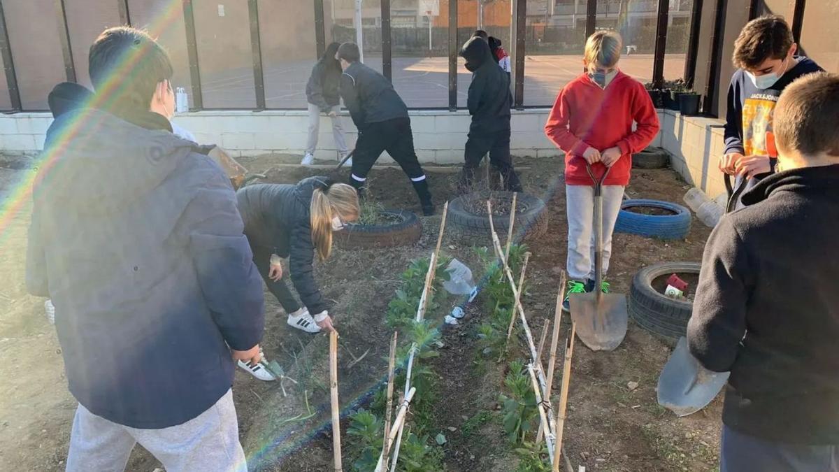 Alumnes de 1r d’ESO durant la classe de ciències, aprofitant l’espai que els grans han construït