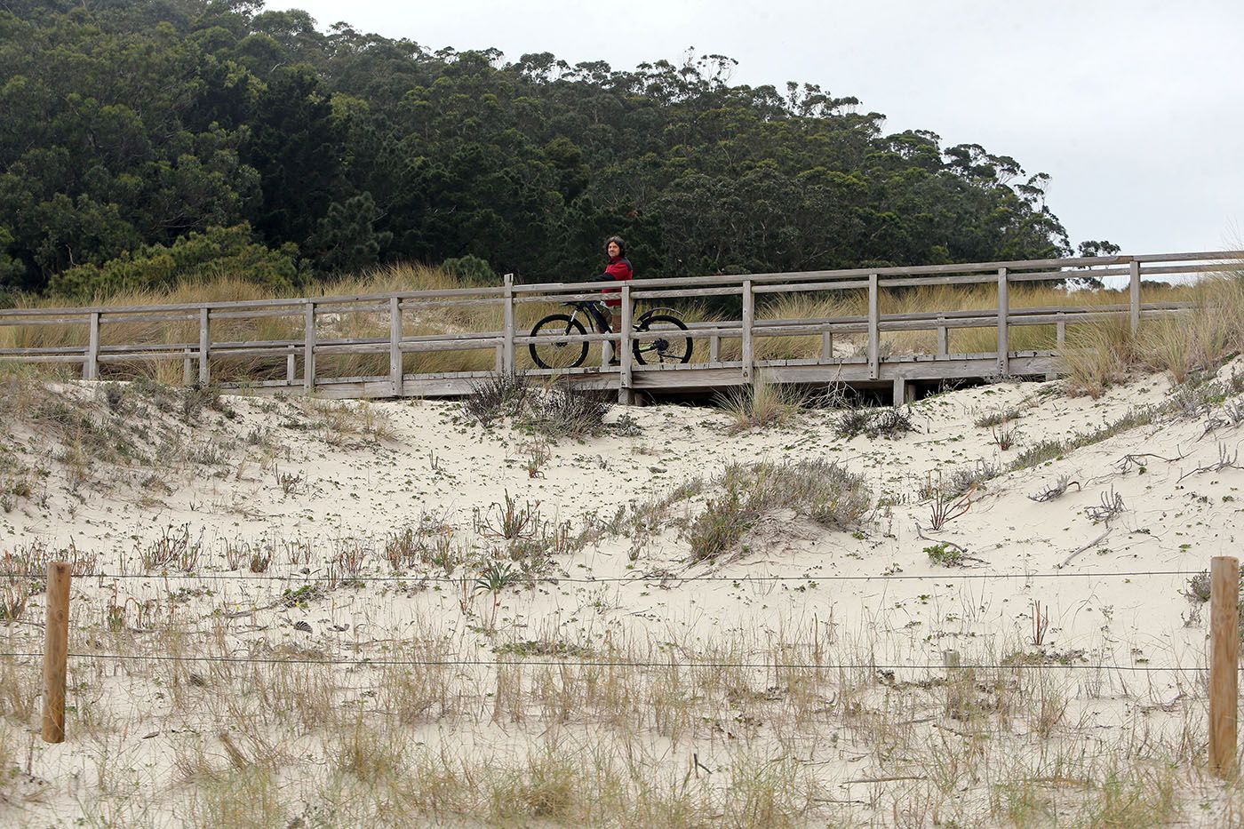 Los “ángeles” del  paraíso natural vigués