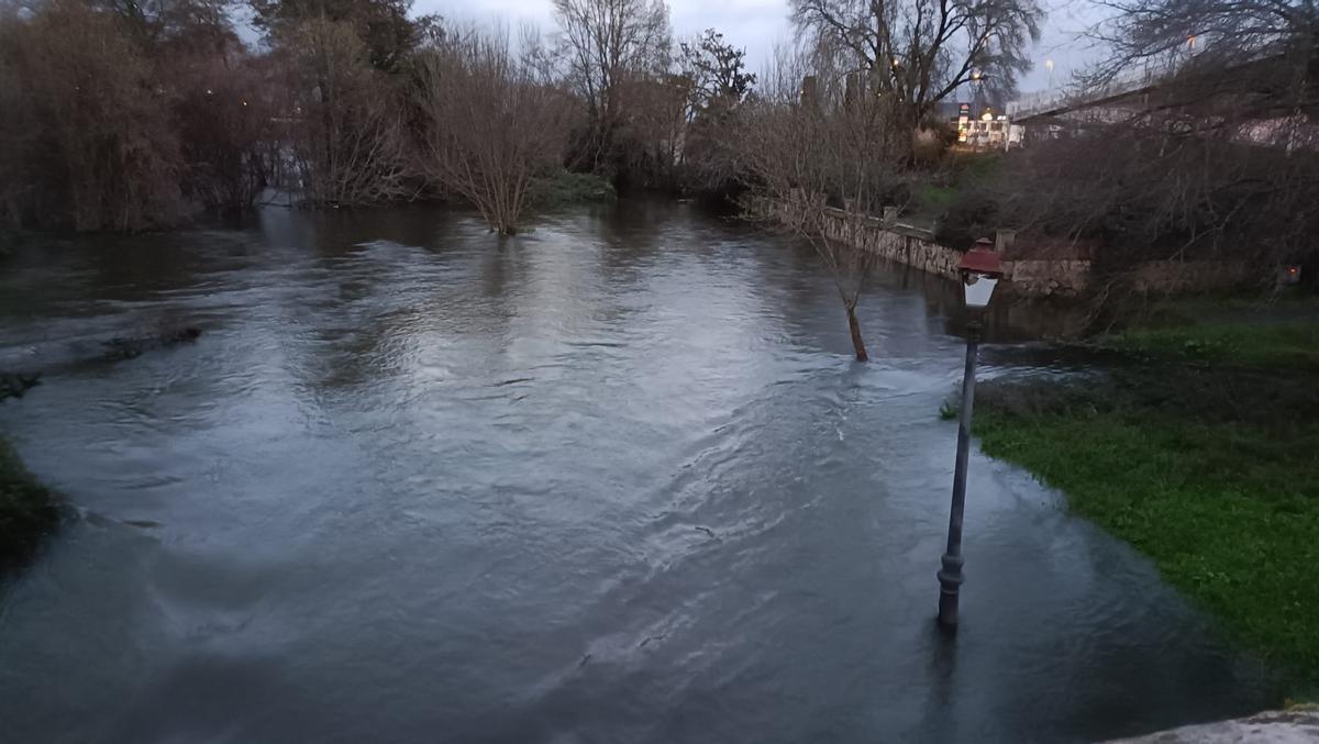 Paseo del río de Plasencia, anegado.