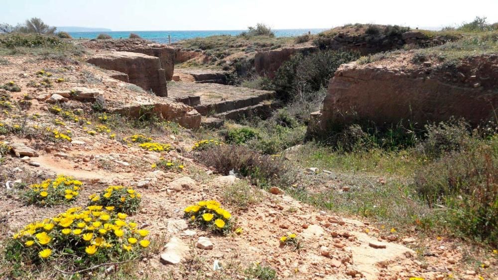 El Ayuntamiento incrementa la protección de es Carnatge