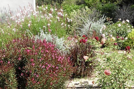 Gartenarchitektin Andi Lechte zeigt einer Reisegruppe ein Anwesen bei Santanyí. Der Entwurf stammt aus ihrer Feder.