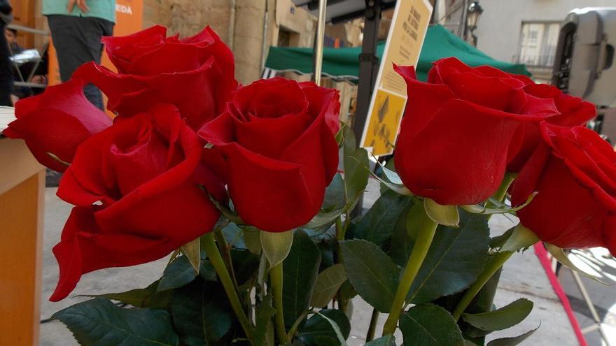 El concurs de relats de Sant Jordi tindrà tres obres premiades.