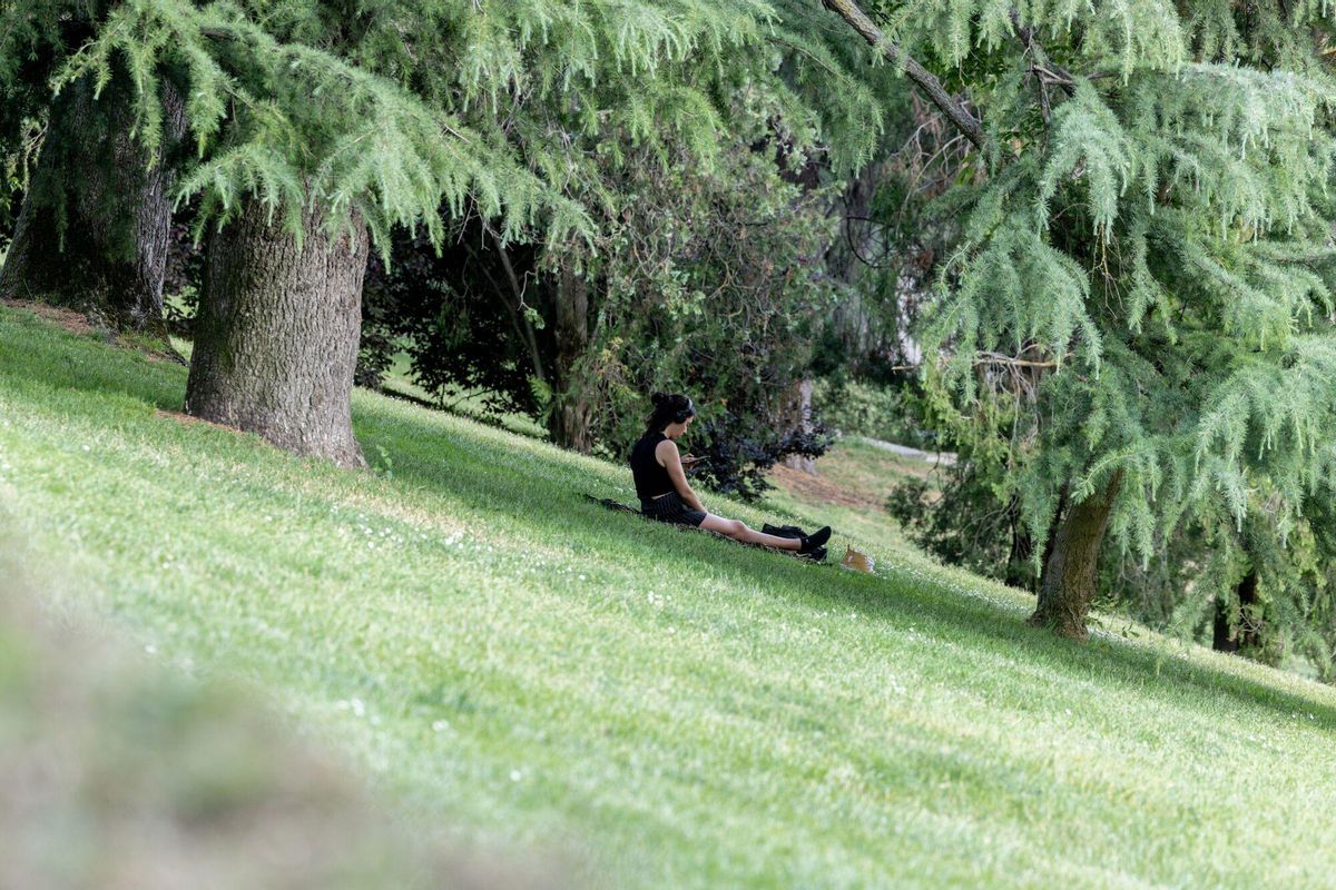 31/05/2025 Una persona sentada a la sombra en un parque, durante un episodio de calor “extraordinario”, a 31 de mayo de 2025, en Madrid (España). Según la Agencia Estatal de Meteorología (AEMET), desde el miércoles 29 de mayo hasta mañana, domingo 1 de junio, la capital está registrando máximas que superan los 35 º C, algo muy poco habitual para estas fechas y que podría batir el récord histórico de temperatura máxima en mayo, fijado en 35,5 º C en el observatorio de El Retiro. POLITICA Ricardo Rubio - Europa Press