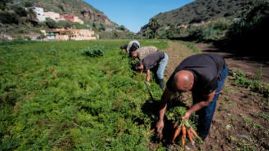 La Cámara apoya la manifestación de agricultores.