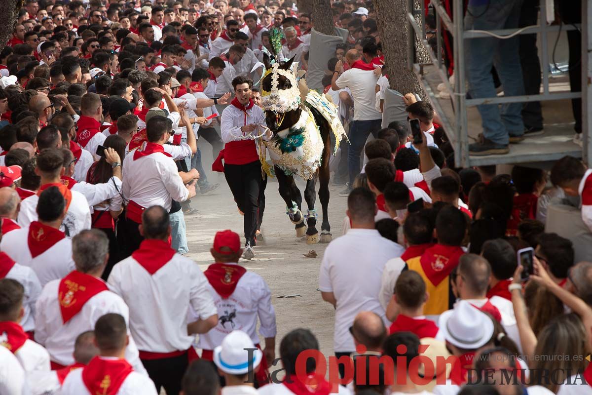 Así ha sido la carrera de los Caballos del Vino en Caravaca