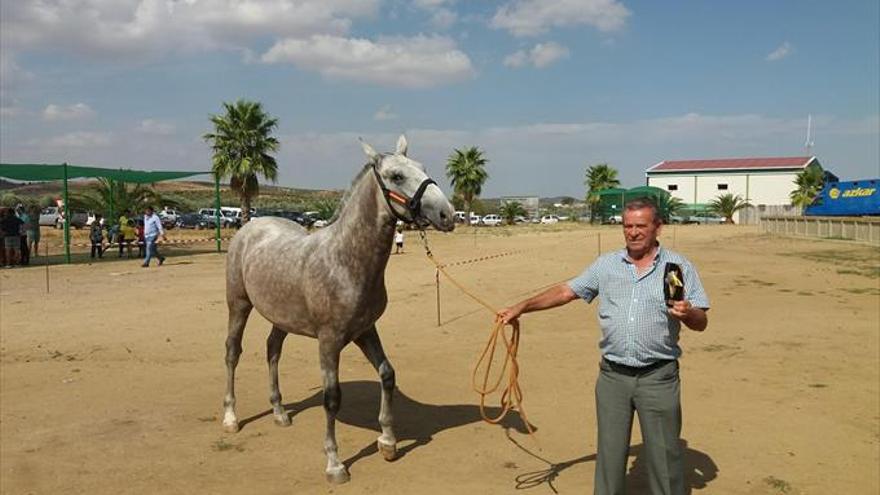 Exitoso rodeo equino en las fiestas de la Cruz y el Cristo de la Quinta Angustia