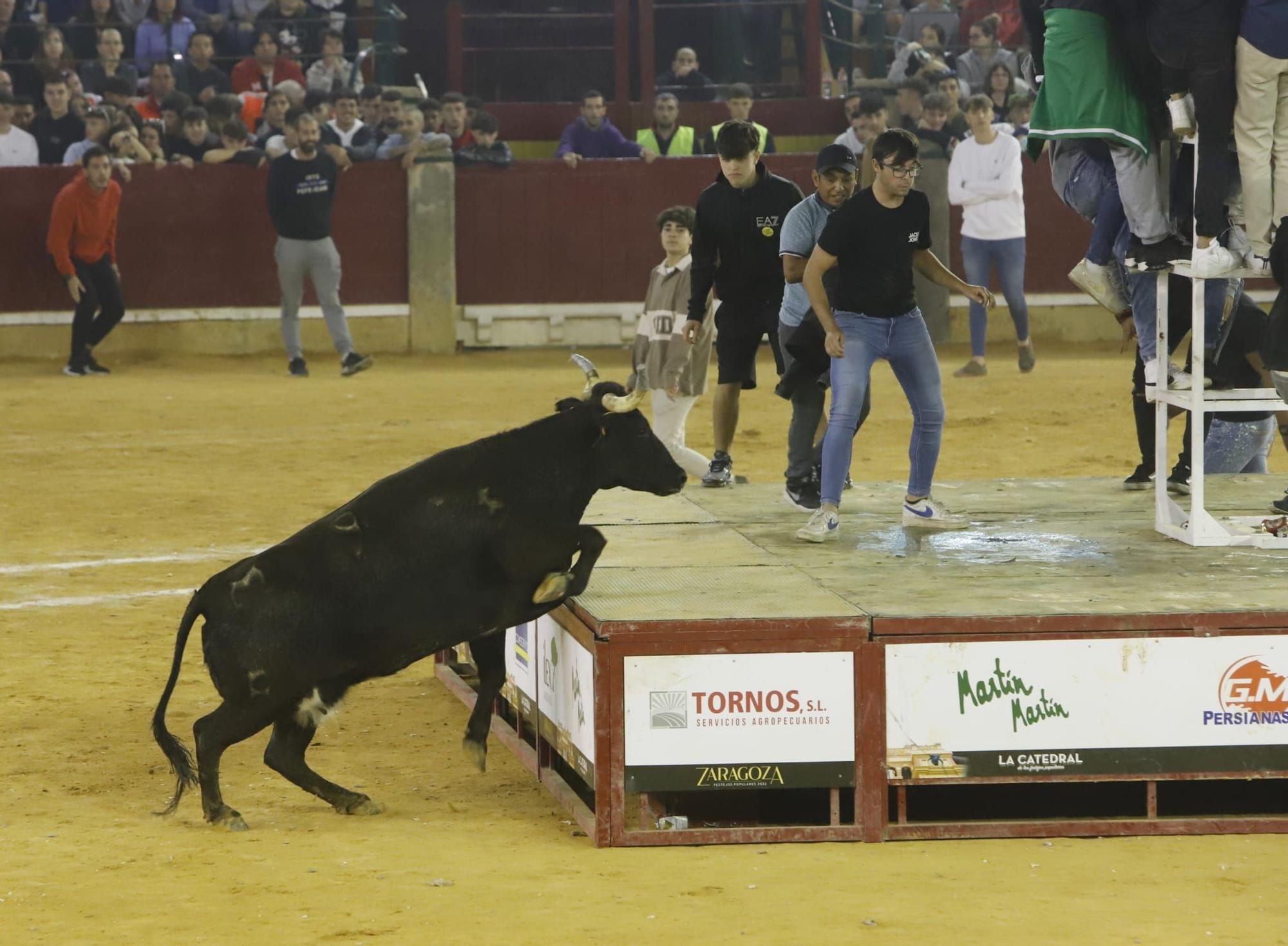 Búscate en la vaquillas del miércoles 12 de octubre