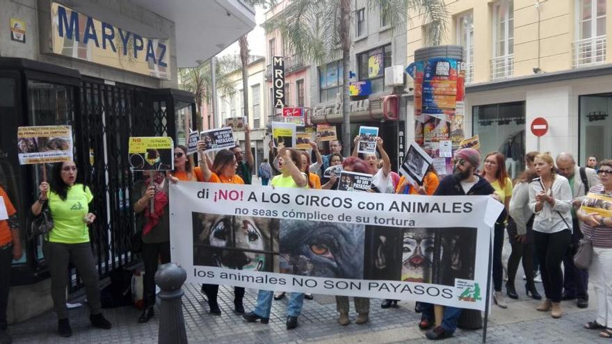 Imagen de la protesta celebrada junto al Parlamento de la plataforma contra el maltrato animal