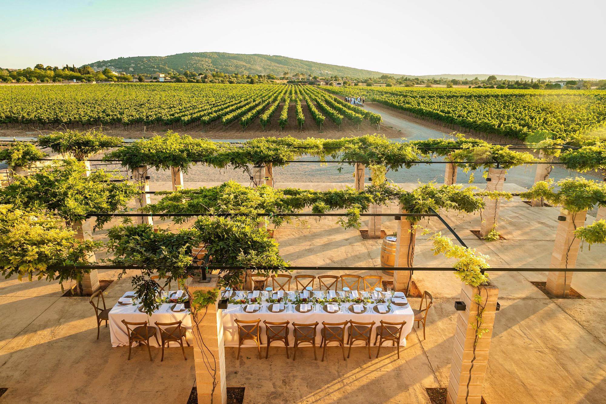 Celebra tu evento en Mallorca entre viñedos y vistas a la Serra de Tramuntana