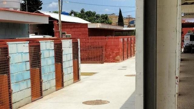 Imagen de las instalaciones del Centro de Protección de Animales de Murcia.