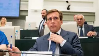 Almeida rechaza crear una comisión de investigación sobre el atropello y reitera su apoyo al director de la Policía Municipal