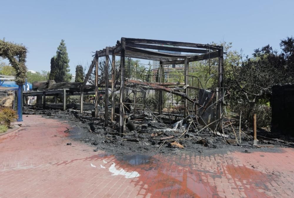 Incendio en l'Oceanogràfic de València