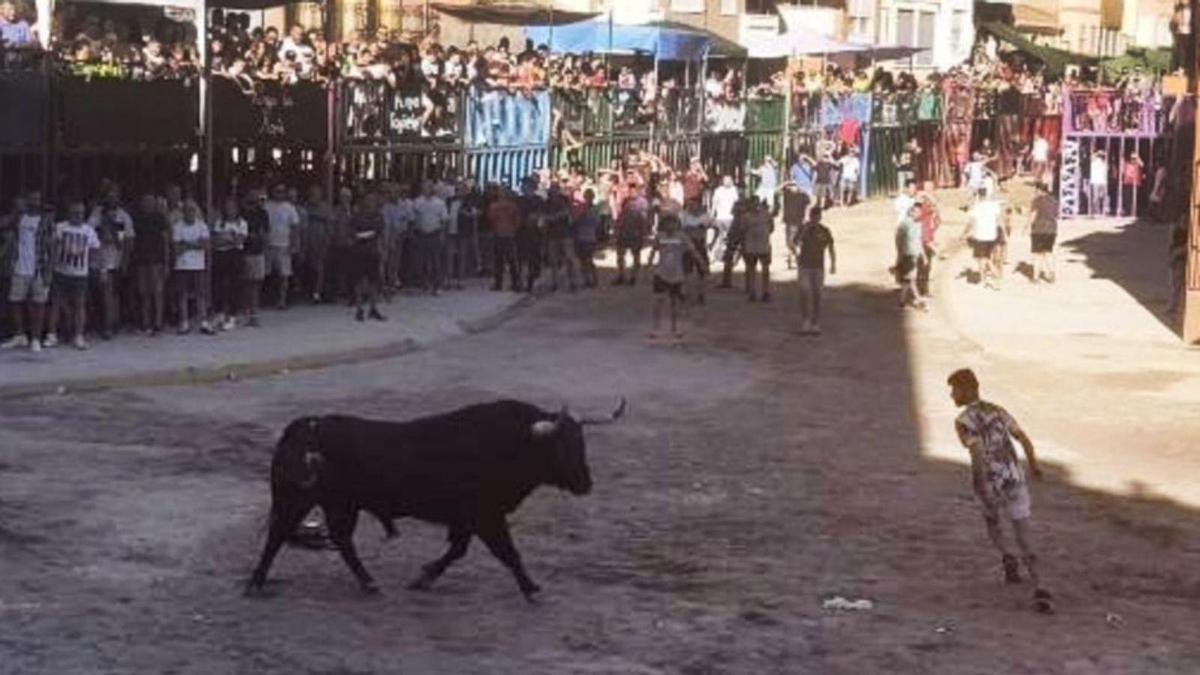 El toro de la ganadería Los Galos, en un momento de su exhibición, este martes.