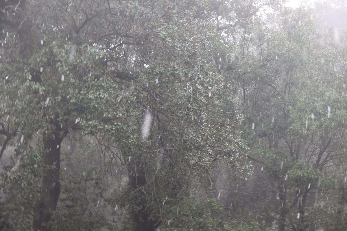 Aguanieve en la Font Roja