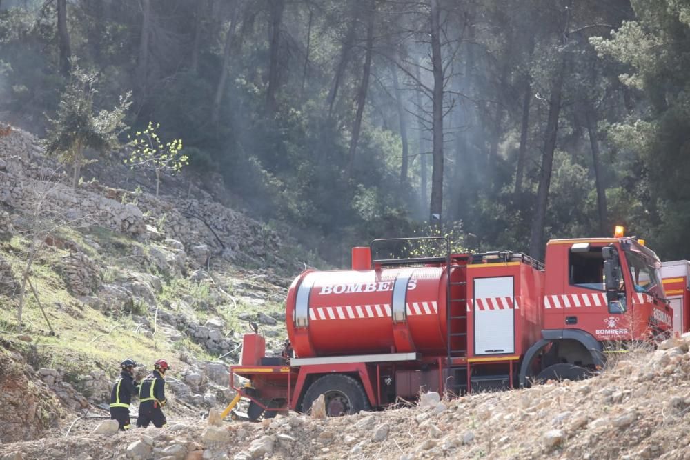 Incendio forestal en Sant Antoni