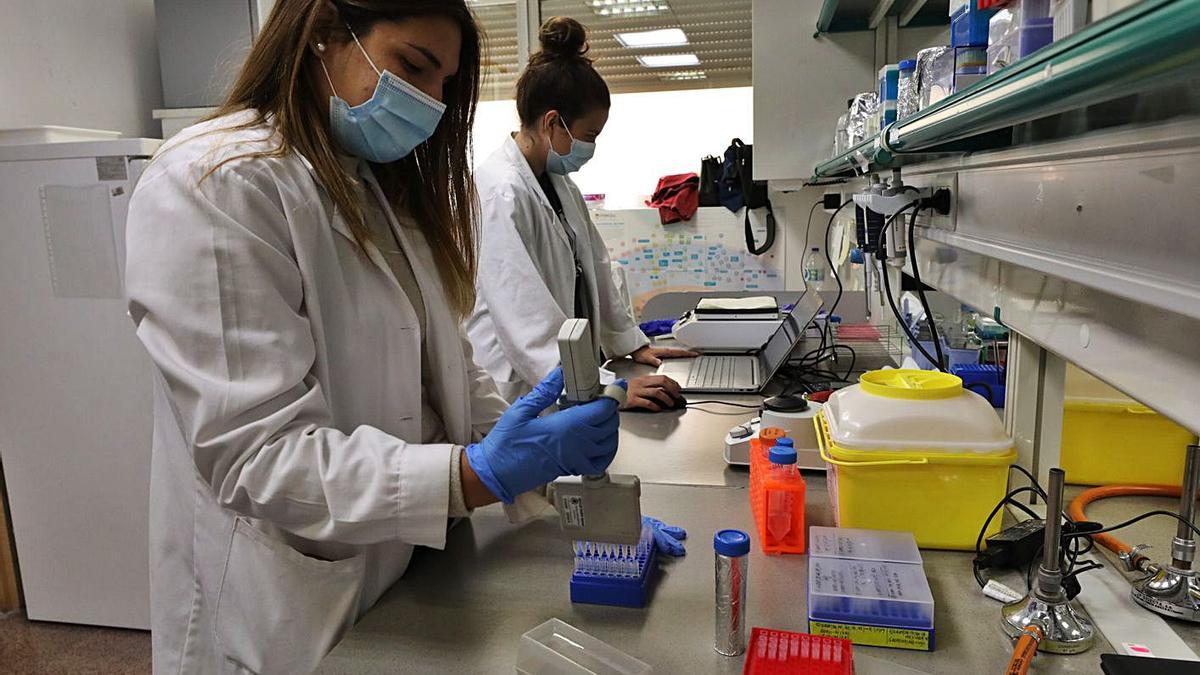 Investigadoras de la UMH trabajan en un laboratorio del Instituto de Biotecnología.