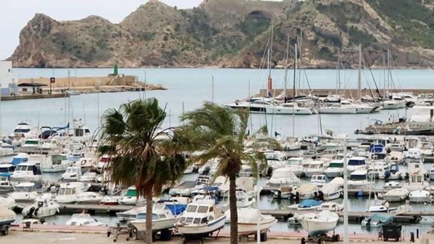 Ecología litoral pide que se prohíba la pesca deportiva en Altea y Benidorm