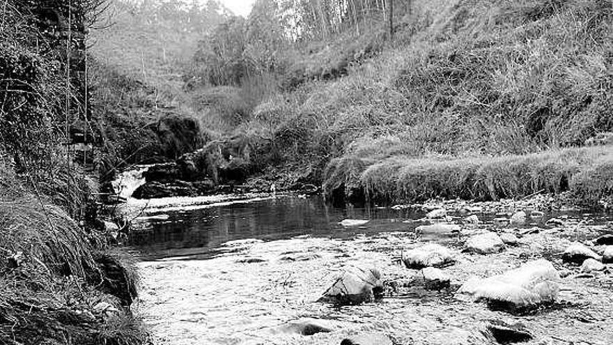 El arroyo Portizuelo, en Barcia.