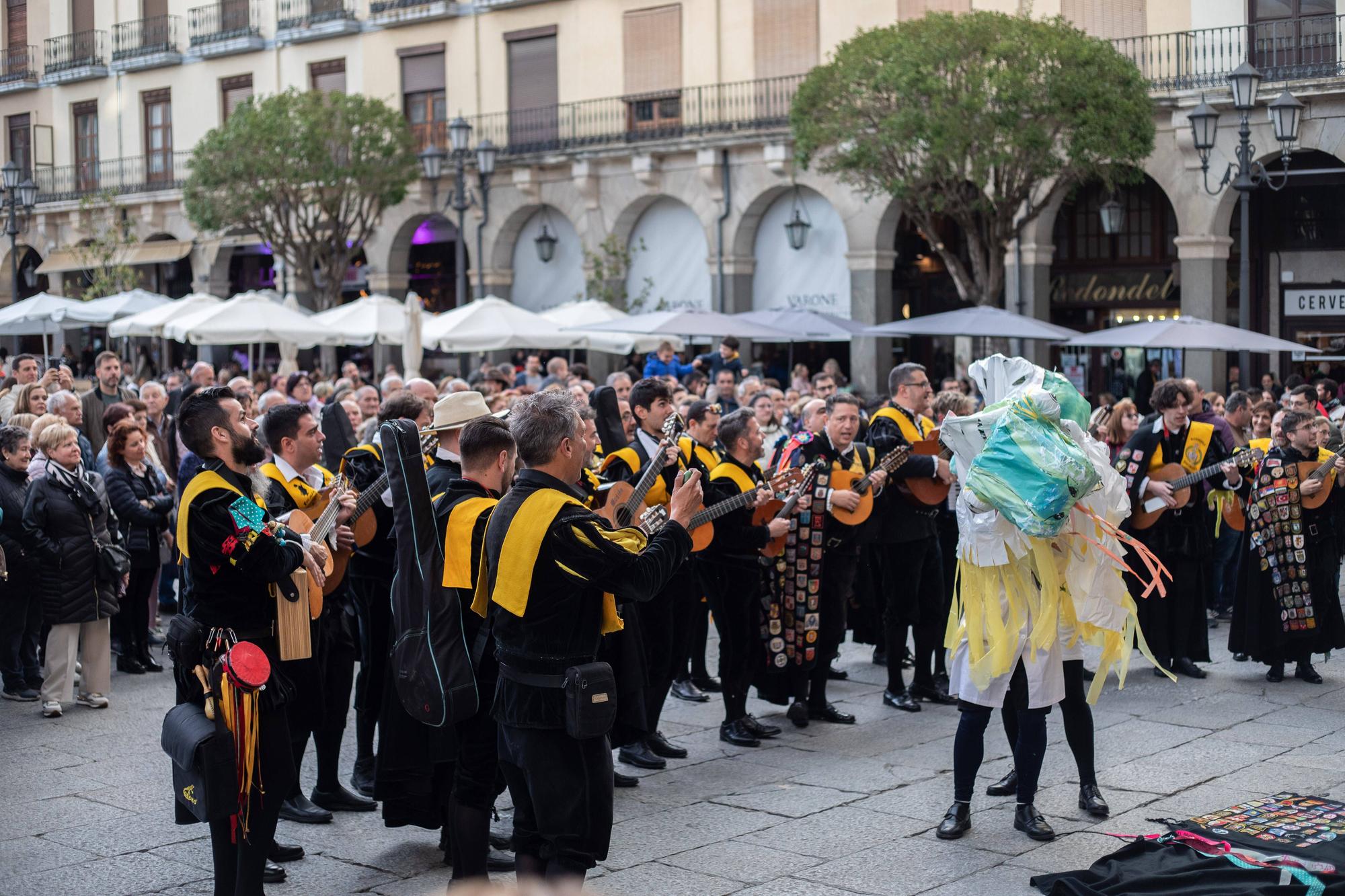 ¿Has visto la concentración de tunas de Zamora? Búscate en nuestras fotos