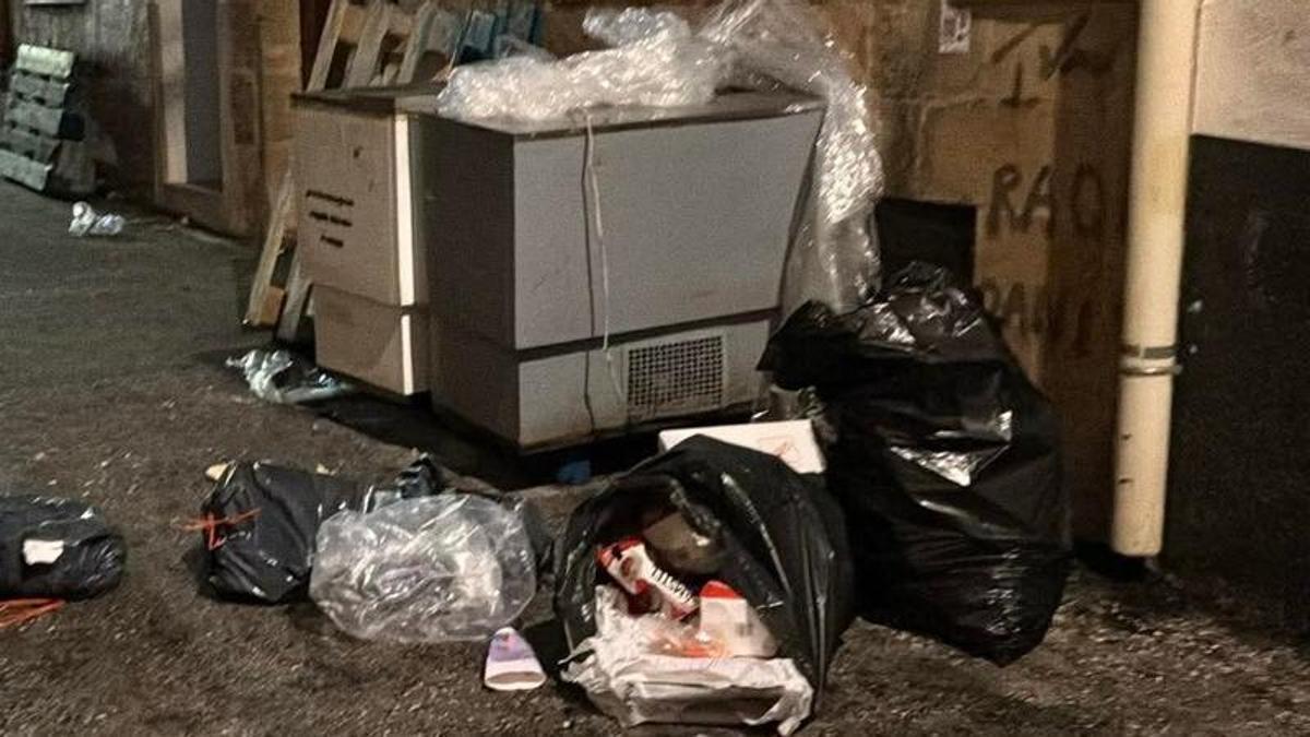 Los gamberros volcaron contenedores y esparcieron la basura por las calles
