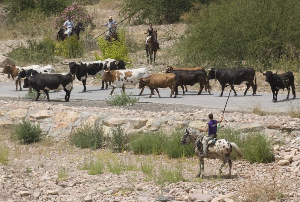 Fiestas de Sagunto. Recinto taurino.