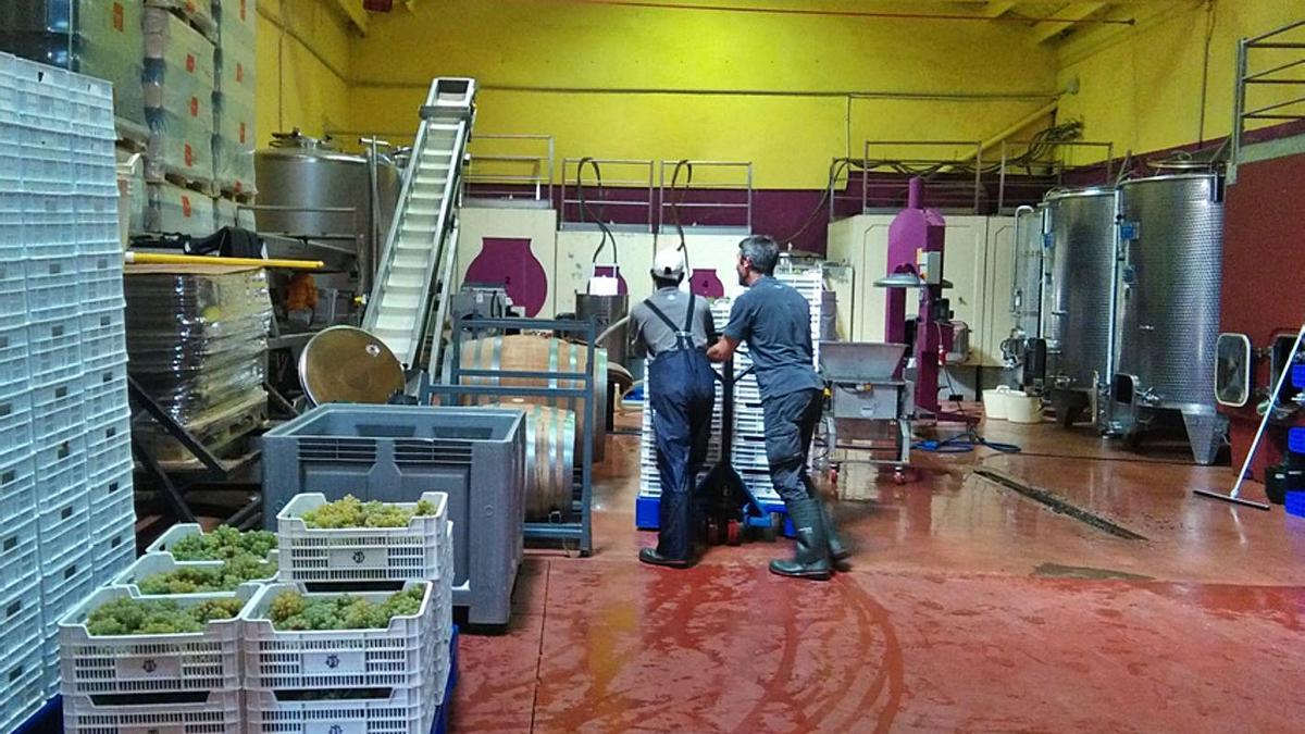 Trabajadores de una bodega toresana. | M. J. C.