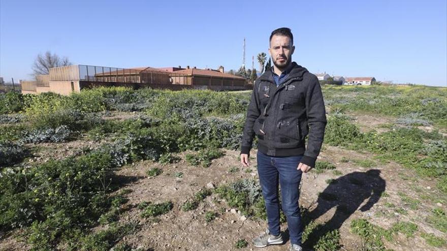 Organizan una plantación de árboles en el viejo vertedero