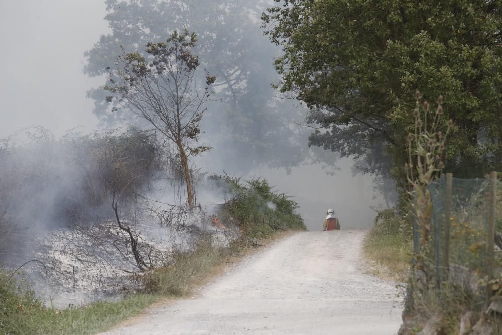 Incendio entre el Colegio Inglés y La Fresneda