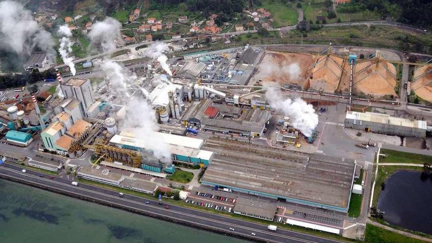 Vista del centro de operaciones de Lourizán en donde Ence quiere construir su planta de biomasa. // R. V.