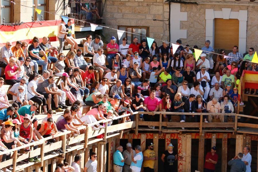 Fiestas en Zamora: Último encierro en Fermoselle